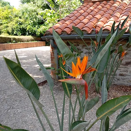 Maison Deux Chambres, Garage, Jardin, Chez Nadine Appartamento