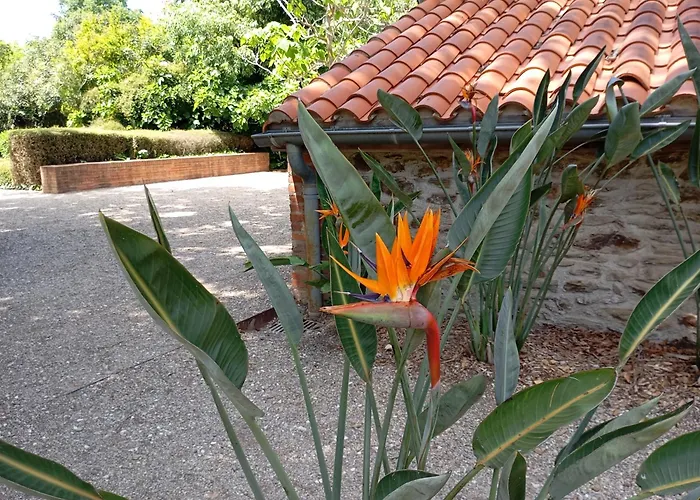 3 Pieces, Jardin, Garage Apartamento